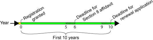 Trademark renewal timeline period 2
